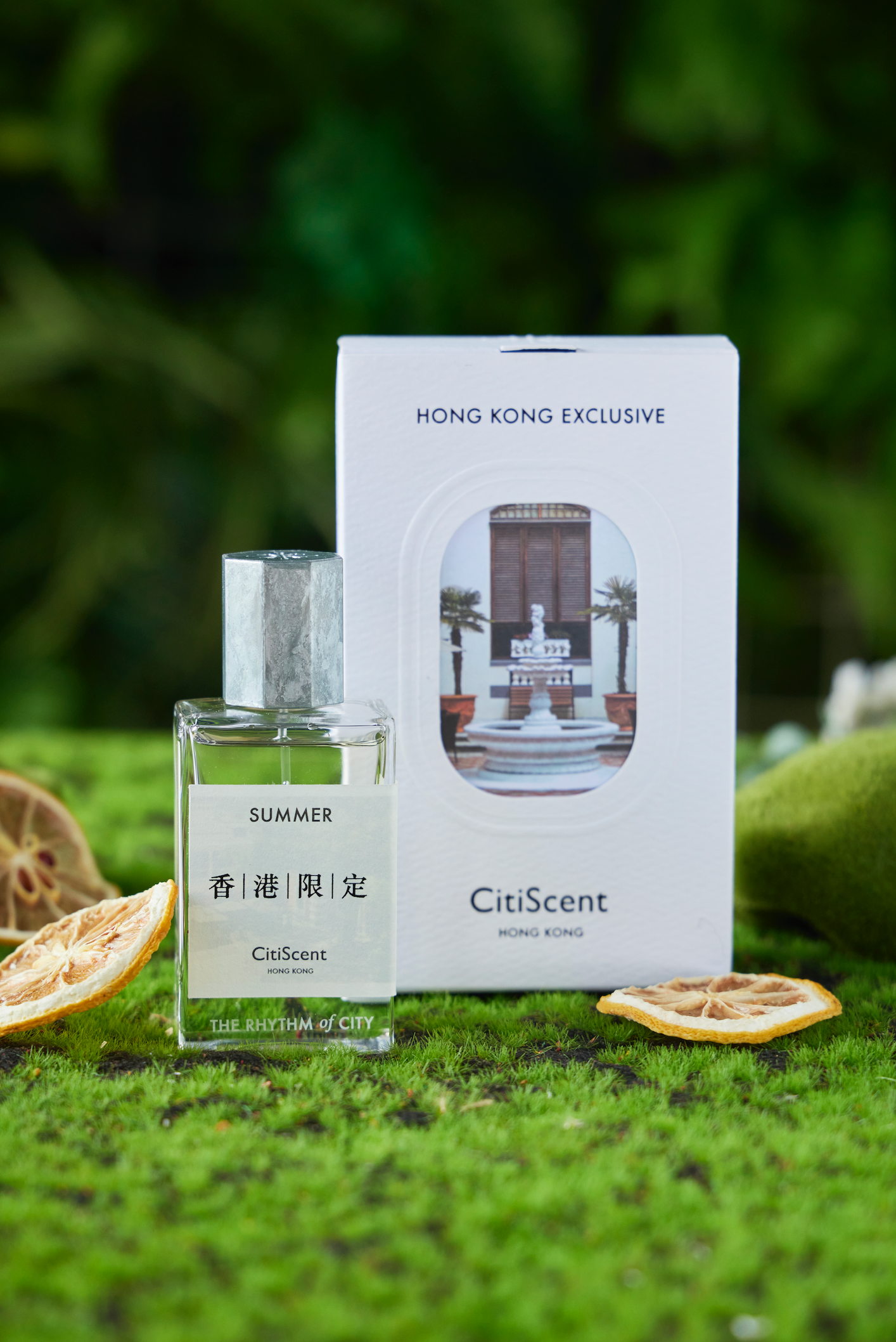 SUMMER - SWAYING SHADOW