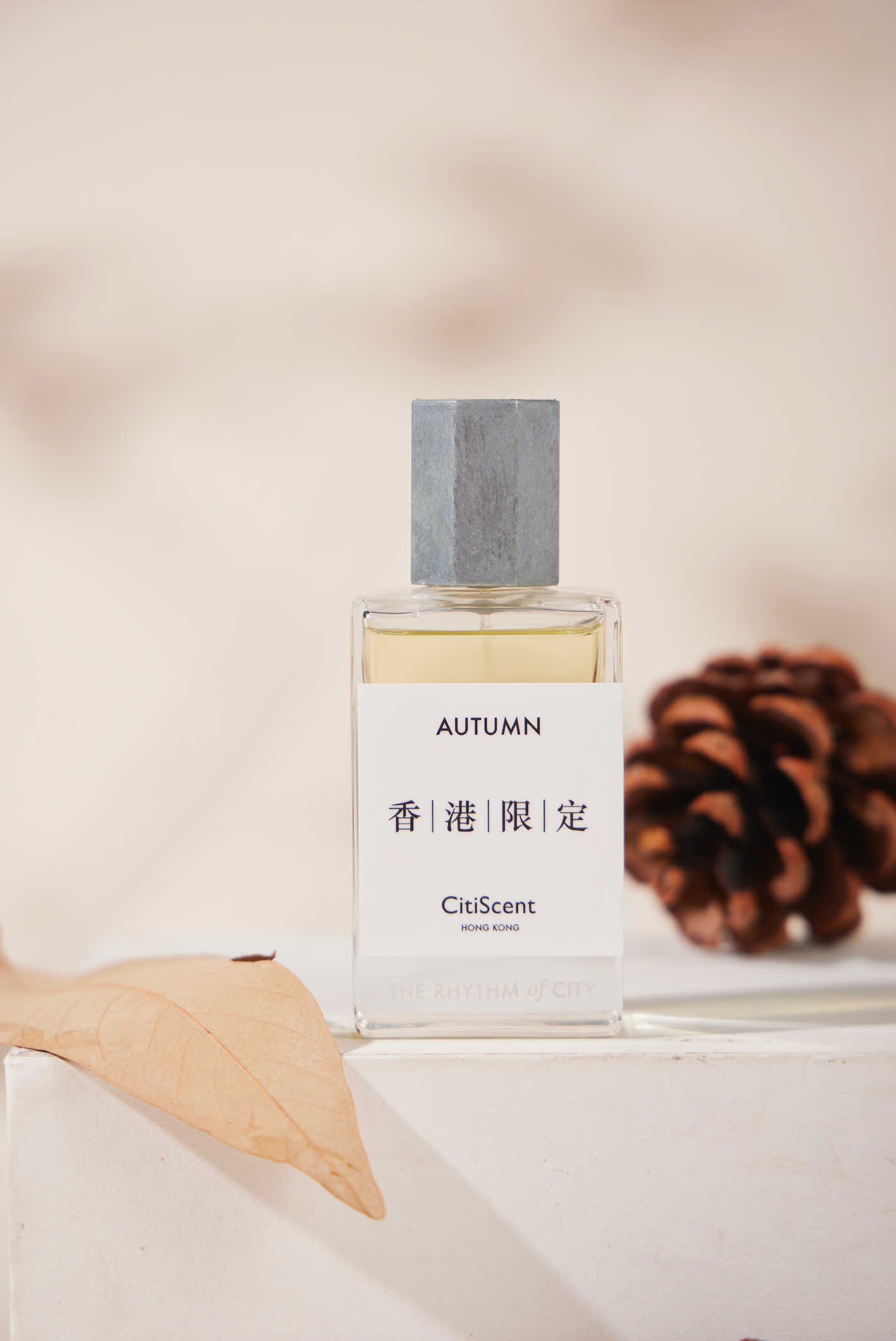 AUTUMN - RUSTLING LEAVES