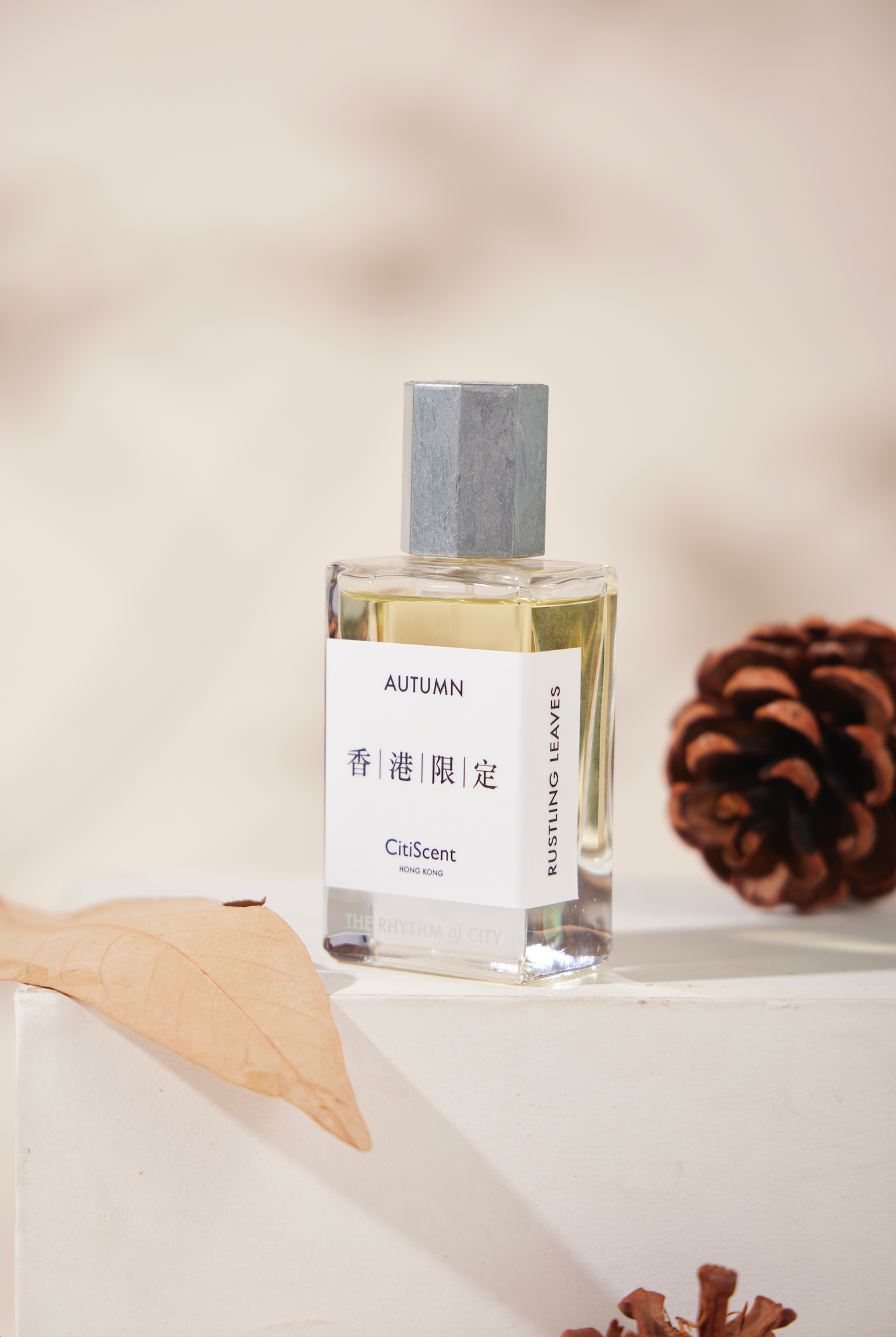 AUTUMN - RUSTLING LEAVES