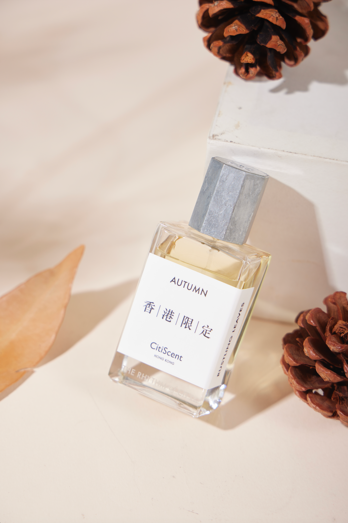 AUTUMN - RUSTLING LEAVES