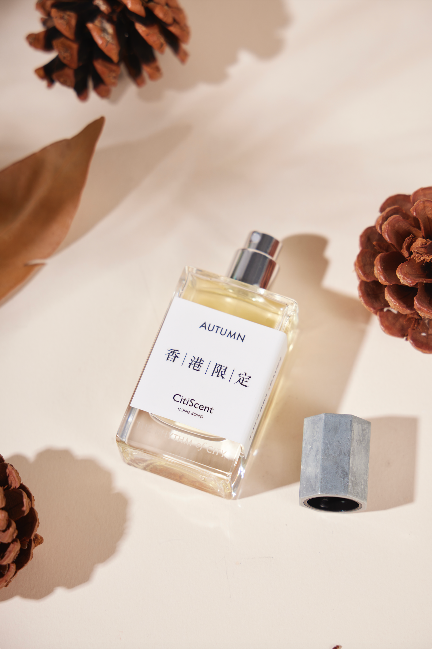 AUTUMN - RUSTLING LEAVES