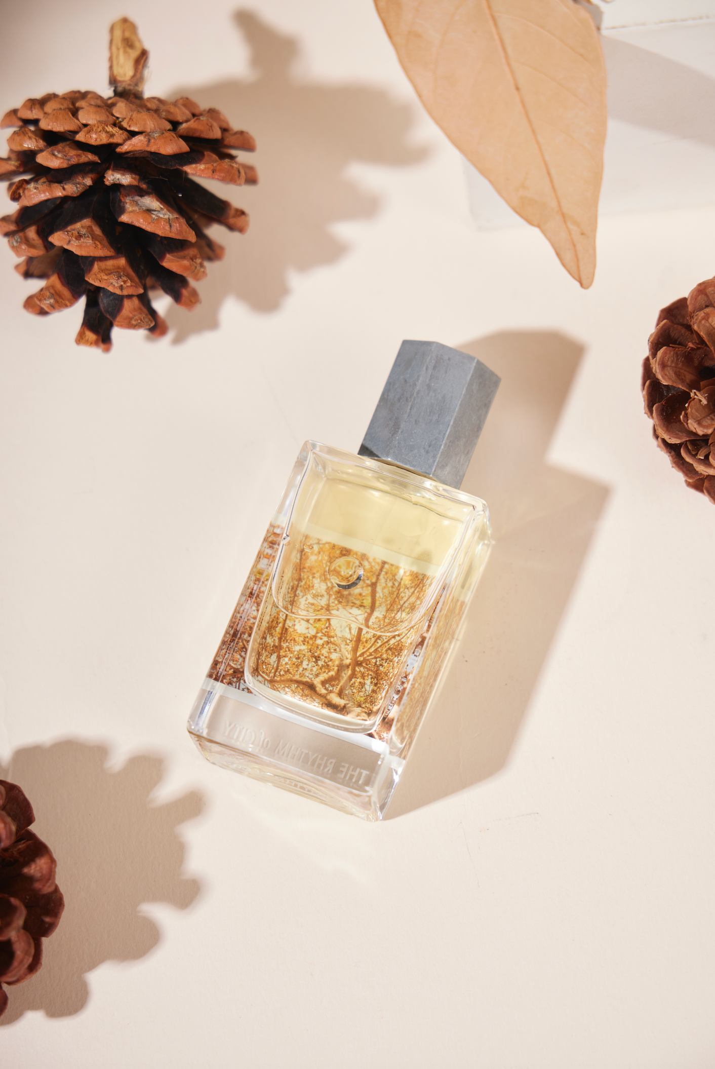 AUTUMN - RUSTLING LEAVES